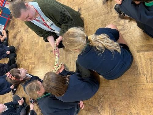Growing together – Adbolton win the Dragon Reward