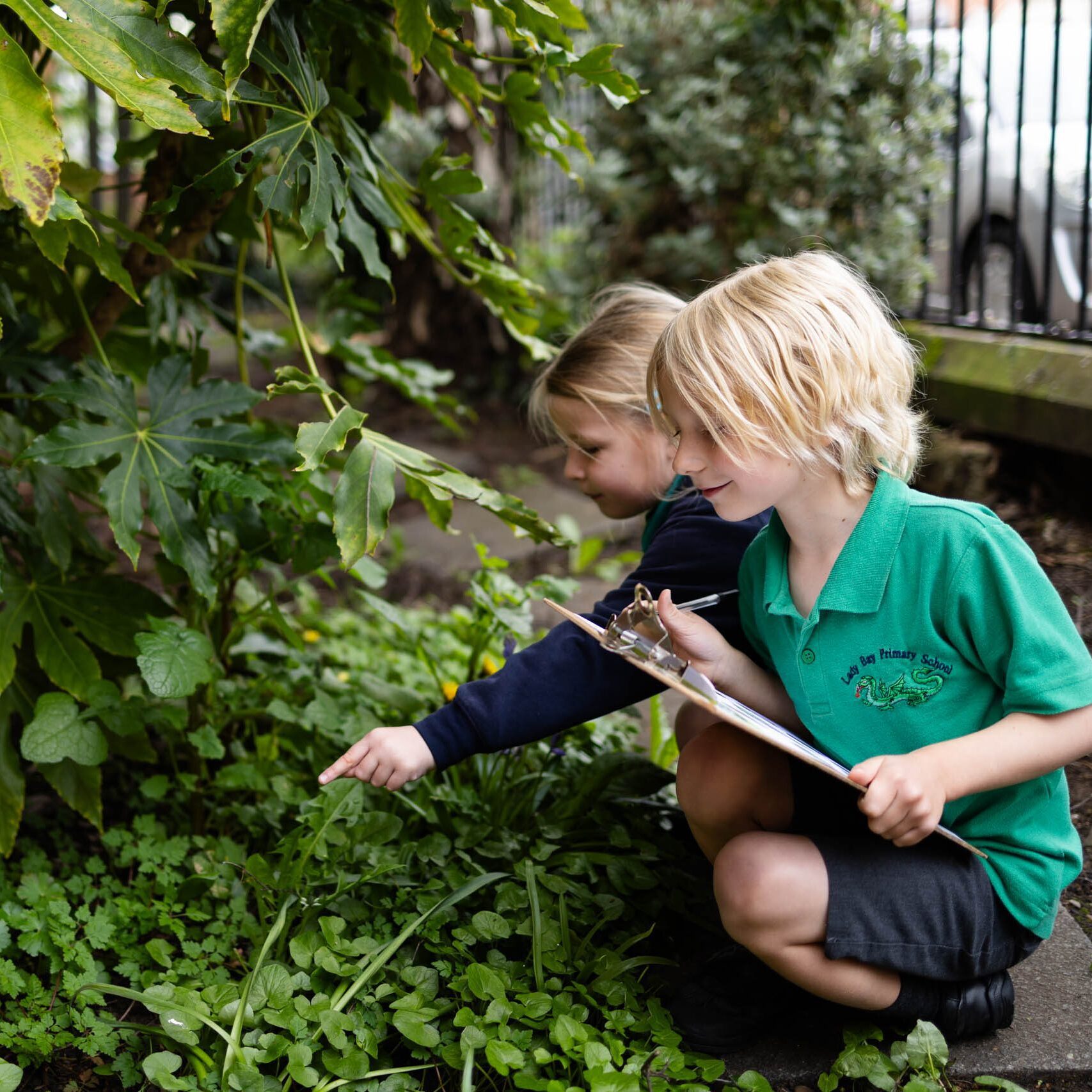 A broad, engaging curriculum